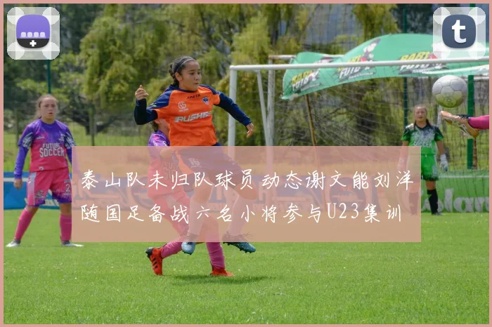 泰山队未归队球员动态谢文能刘洋随国足备战六名小将参与U23集训