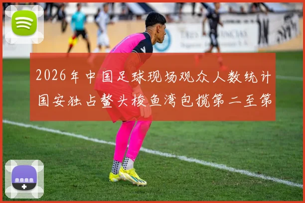 2026年中国足球现场观众人数统计国安独占鳌头梭鱼湾包揽第二至第七位